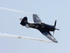 f-azxj_20120728-1-389_crop