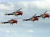 1980_grasshoppers_300_2 1980_grasshoppers_300_2
